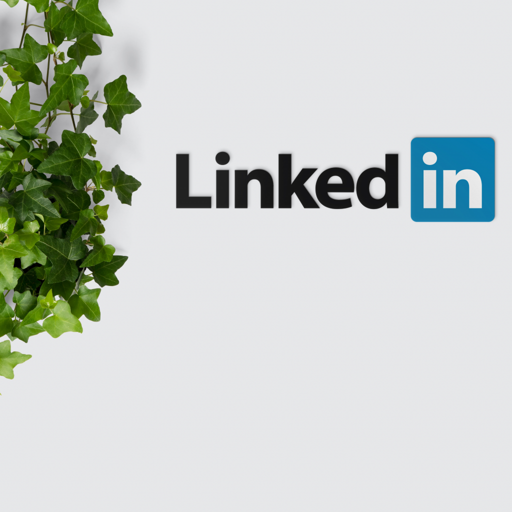 An image of a wall sign that says LinkedIn. Beside it is a green leafy plant.